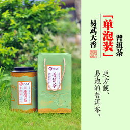 方便便攜 精品品質(zhì) 普洱單泡裝,好茶簡(jiǎn)單泡