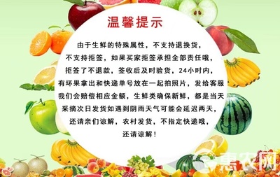 魚腥草根