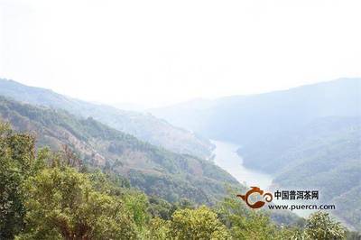 普洱茶投資分析:寫(xiě)給平靜卻又不平淡的2018